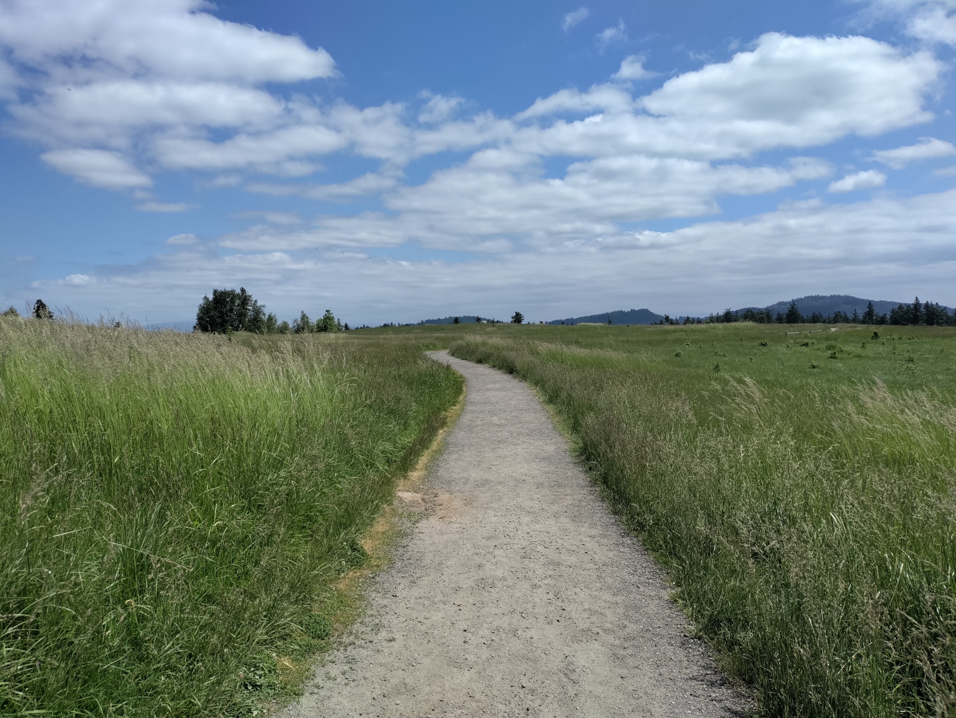 Powell Butte - Summit Lane